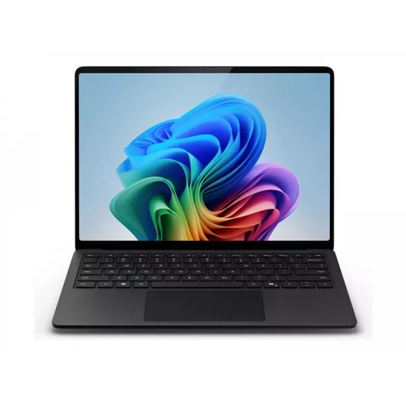 Microsoft ZHH-00050 kietojo kūno diskas juodas