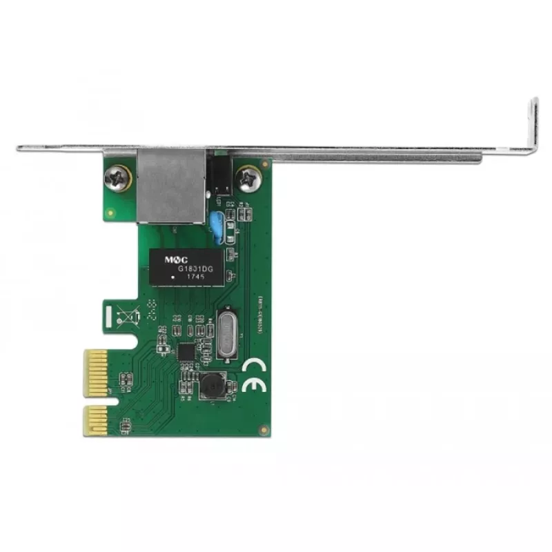 Tinklo plokštė DeLOCK 90381 vidinė Ethernet 100 Mbit/s