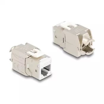 DeLOCK 88119 keystone modulis Plokščias Baltas RJ-45 10 vnt.