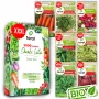 Toraf Summer Flavors sėklų rinkinys - 7 pakuotės