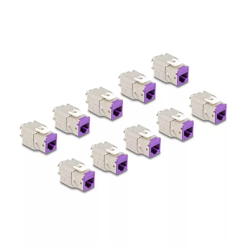 DeLOCK keystone modulis 88121 Plokščias Violetinis RJ-45 10 vnt.