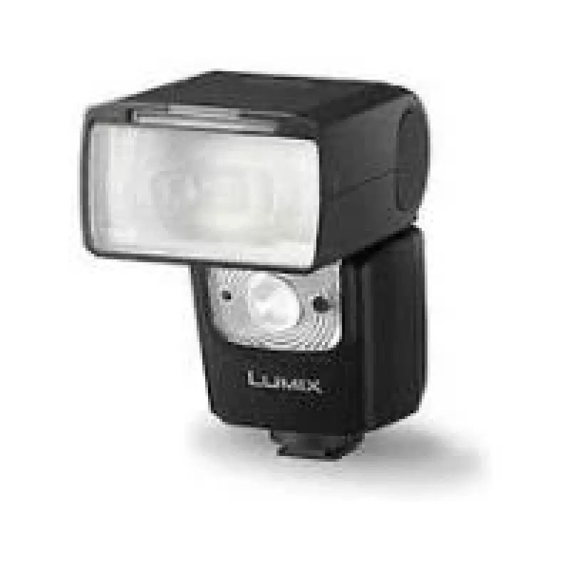Camcorder blykstė Panasonic DMW-FL580LE juoda