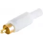 RCA (Cinch) kištukas ShiverPeaks 51400-WG — baltas korpusas, paauksuoti kontaktai