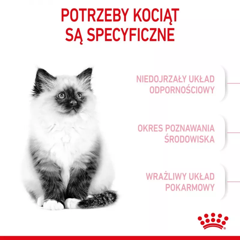 Sausas kačių maistas Royal Canin Kitten 4 kg Paukštiena — jaunesnio amžiaus sausas ėdalas, 36 % baltymų, 18 % riebalų