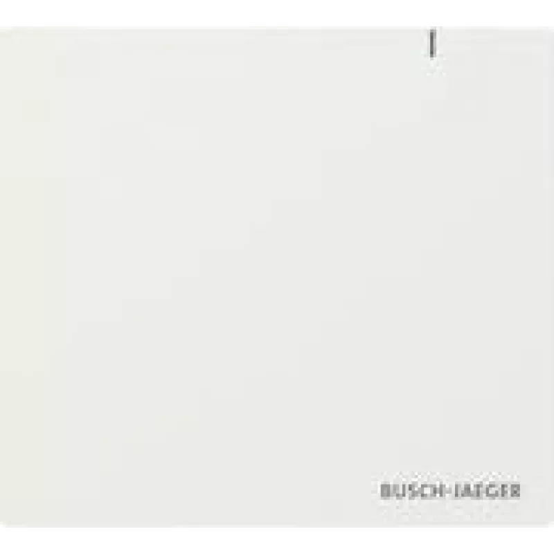 BUSCH JAEGER BJ SAP.13 System Access Point 3.0 (2CKA006200A0868)