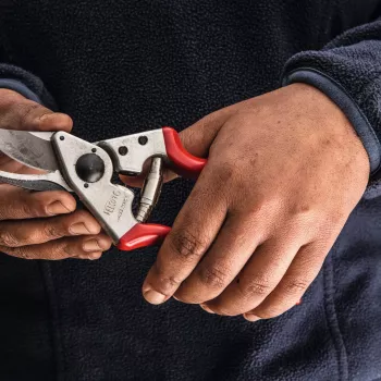 Felco | Kairiarankei genėjimo žirklėms | FELCO 16