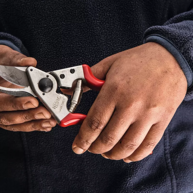 Felco | Kairiarankei genėjimo žirklėms | FELCO 16