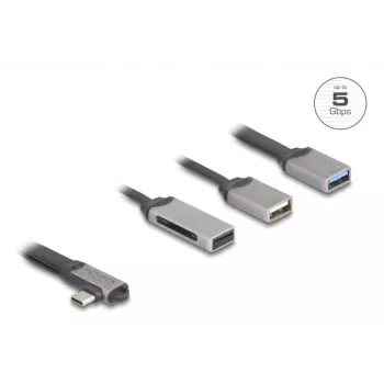 DeLOCK 64303 USB 3.2 Gen 1 Type-C šakotuvas 5000 Mbit/s Pilka