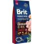Sausas šunų maistas Brit Premium by Nature Senior L+XL 15 kg — vištiena, 27% baltymų, 14% riebalų, didelių ir milžiniškų veislių senjorams