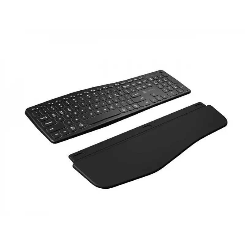 NATEC PORIFERA klaviatūra Namai/Biuras Bluetooth QWERTY US International Juoda