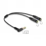 DeLOCK garso laidas 0,25 m 3,5 mm 2 × 3,5 mm juodas