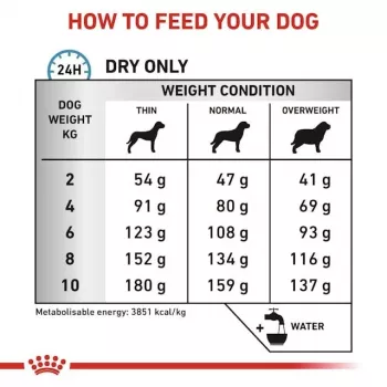 Sausas šunų maistas Royal Canin Anallergenic Small — hipoalerginė formulė suaugusiems mažiems šunims, 3 kg, mėsos skonio, be glitimo ir cukraus