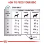 Sausas šunų maistas Royal Canin Anallergenic Small — hipoalerginė formulė suaugusiems mažiems šunims, 3 kg, mėsos skonio, be glitimo ir cukraus