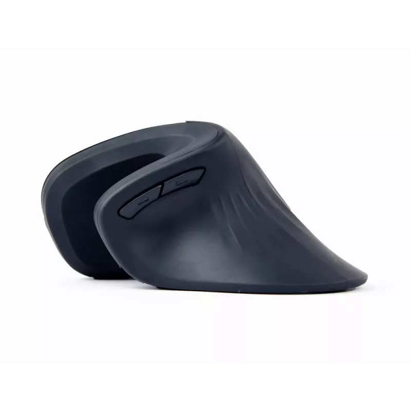 Gembird MUSW-ERGO-03 pelė Namams Dešiniarankiams RF Belaidis Optinis 1600 DPI
