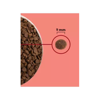 ACANA Highest Protein vidinis Cat – sausas kačių ėdalas – 4,5 kg