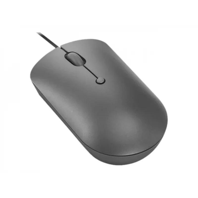 Lenovo 540 pelė Office Ambidextrous USB Type-C Optinė