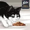 FELIX Tasty Shreds su lašiša ir tunu – 4x 80g