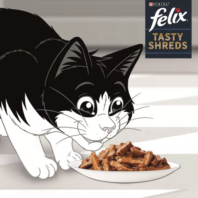 FELIX Tasty Shreds su lašiša ir tunu – 4x 80g
