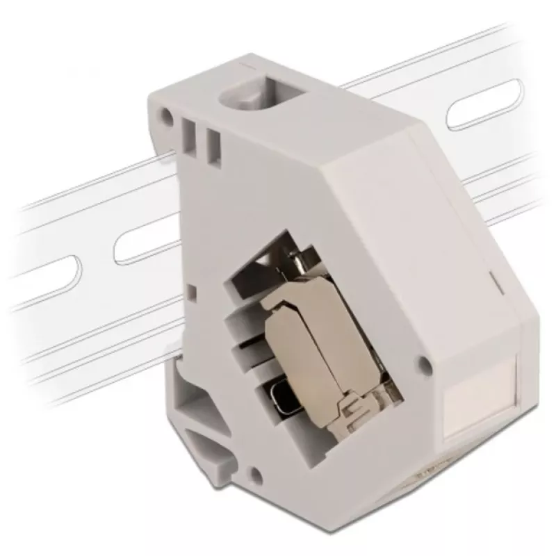 Delock - Modulinis adapteris - montuojamas ant DIN bėgelio - CAT 6a - STP - Pilkas - 1 jungtis (86014)