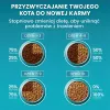 PURINA One Bifensis Senior 7+ - sausas kačių ėdalas - 800 g