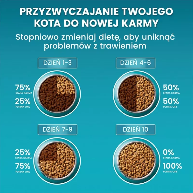 PURINA One Bifensis Senior 7+ - sausas kačių ėdalas - 800 g