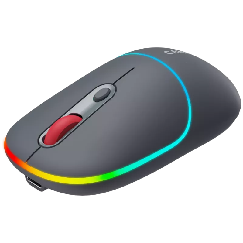 Canyon MW-22 2in1 RGB belaidė pelė - pilka - Bluetooth/RF - 1.600 dpi - įkraunama