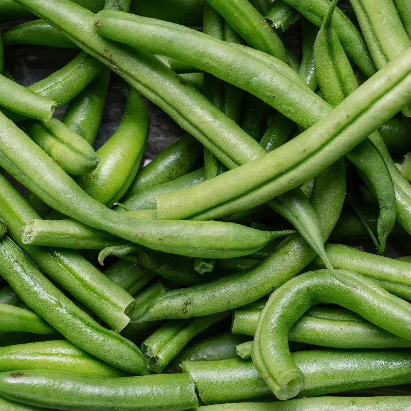 Nomad Green žemaūgių pupelių sėklos, 50g – daržovių sėklos