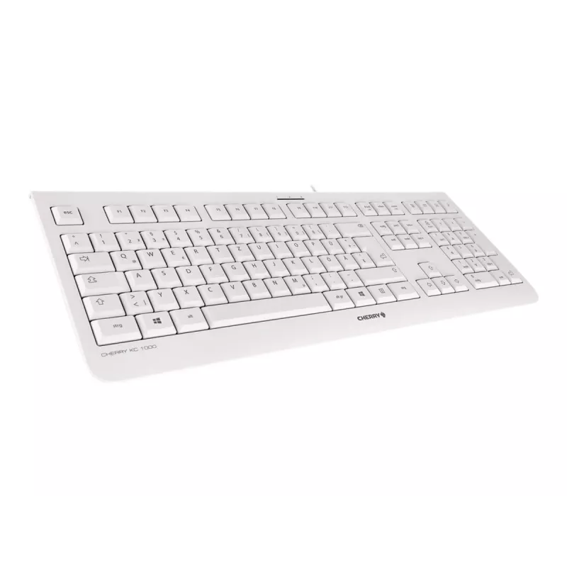 CHERRY KC 1000 klaviatūra, biuro, USB, QWERTZ, vokiška, pilka
