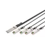 Tiesioginio prijungimo kabelis Digitus DN-81325 40G QSFP+ į 4XSFP+ 5m