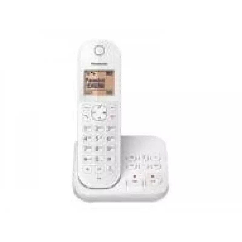 DECT telefonas Panasonic KX-TGC420
