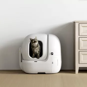 Atviras kačių tualetas PETKIT Purobot Max Pro — Baltas, 657×538×603 mm, 12 V adapteris
