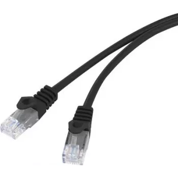 BASETech BT-1717480 tinklo kabelis juodas 10 m Cat5e U/UTP (UTP) (BT-1717480)