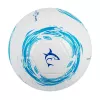 Futbolo kamuolys White Shark TB-001 Dribbler 32 skydelių 5 dydis