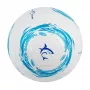 Futbolo kamuolys White Shark TB-001 Dribbler 32 skydelių 5 dydis