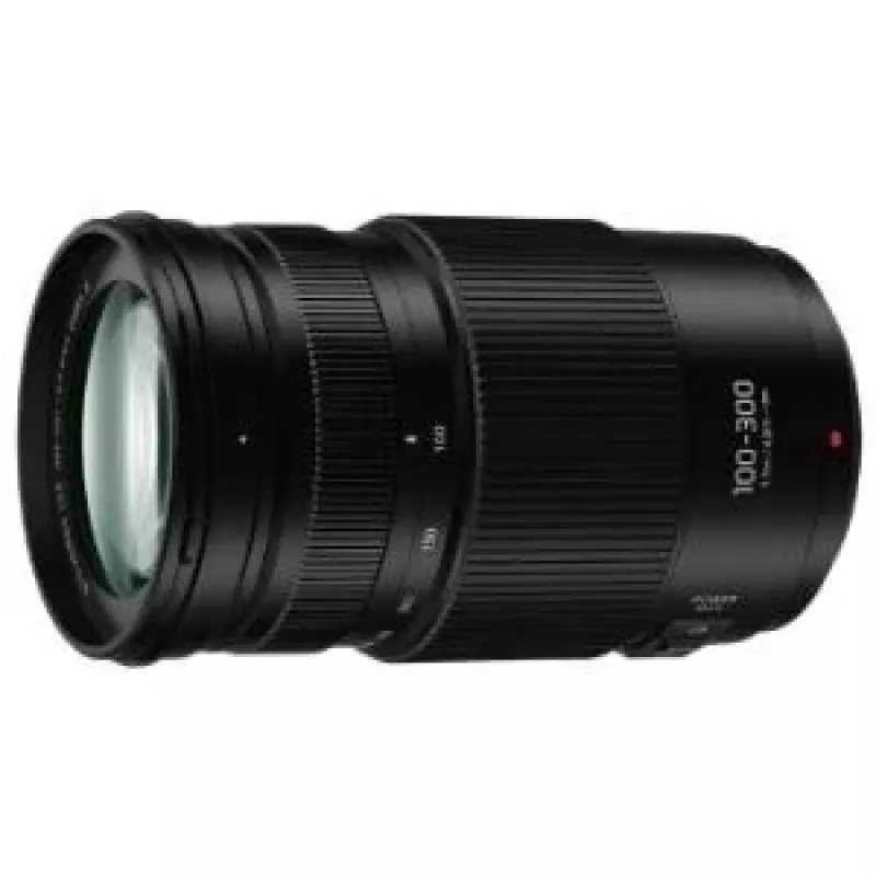 Panasonic Lumix 4,0-5,6/100-300 Power OIS (H-FSA100300E)