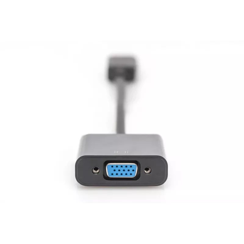 Digitus DisplayPort adapteris / keitiklis