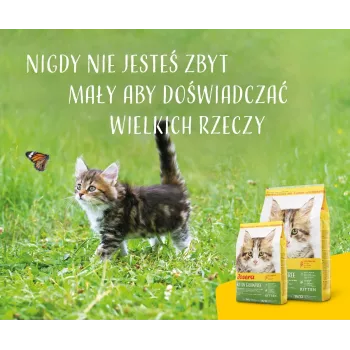 Sausas kačių maistas JOSERA Kitten Poultry 400 g — paukštiena, 36 % baltymų, 22 % riebalų, kačiukams