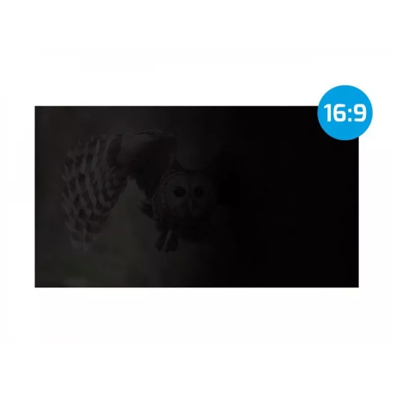 NATEC NFP-2287 privatumo filtras ekranui 40,6 cm (16 inch) monitoriui/nešiojamam kompiuteriui, berėmis privatumo filtras 2H