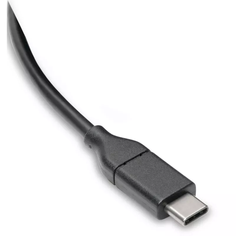 Eaton Tripp Lite Series USB-C laidas (M/M) - USB 2.0, 5A (100W), 6 pėd. (1,83 m) - USB laidas - 24 kontaktų USB-C (M) į 24 kontaktų USB-C (M) - USB 2.0 - 20 V - 5 A - 1,83 m - Lieta