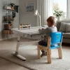 Ergo Office vaikiškas ergonominis reguliuojamo aukščio stalas, pilkas, maks. 100 kg, ER-417 2cz