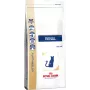 Suaugusioms katėms sausas kačių maistas Royal Canin Renal 2 kg — paukštienos skonio, 23% baltymų, 17% riebalų