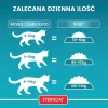 PURINA One Bifensis Sterilcat Jautiena - sausas kačių maistas - 800 g