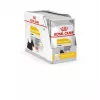Šlapias šunų ėdalas Royal Canin Dermacomfort Adult 85 g pakelis — jautriai odai, paukštienos skonio, 78 % drėgmės