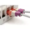 Digitus A-CC-MG Ethernet komutacinis kabelis, purpurinis