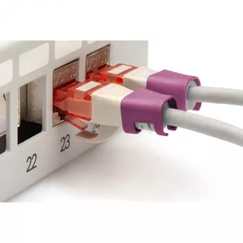 Digitus A-CC-MG Ethernet komutacinis kabelis, purpurinis