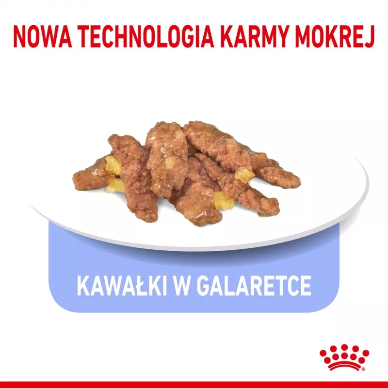 Šlapias kačių maistas Royal Canin Indoor Sterilized 85 g pakuotė — suaugusios patalpose laikomos sterilizuotos katės, paukštienos skonio, pakuotė 12 x 85 g