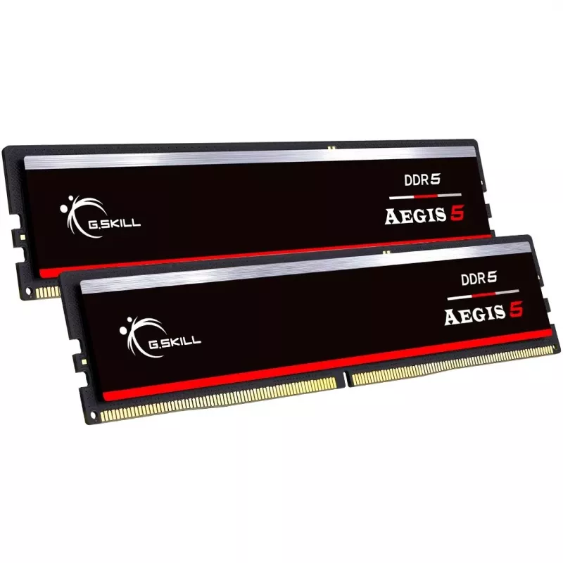 G.skill F5-6000J3636F32GX2-IS atminties modulis