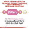 Sausas kačių maistas Royal Canin British Shorthair Kitten 2 kg – vištiena, 38% baltymų, 20% riebalų, augimo formulė