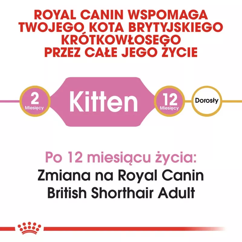 Sausas kačių maistas Royal Canin British Shorthair Kitten 2 kg – vištiena, 38% baltymų, 20% riebalų, augimo formulė