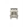 Kaitlentė Kuchenka fortress titanium wood stove FIRE-MAPLE, 4 zonos, lietiminis valdymas